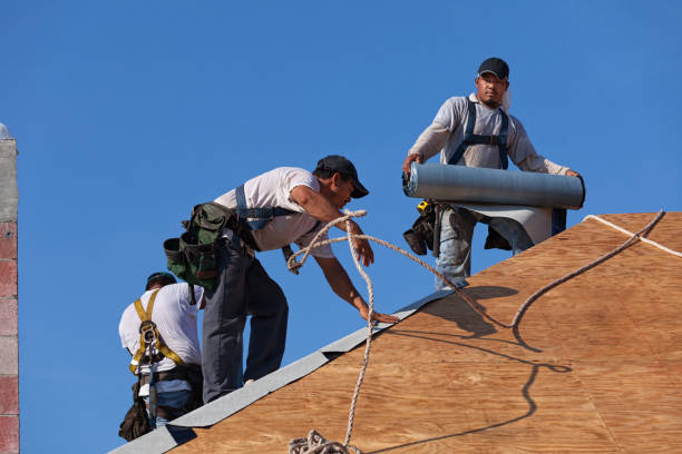 Best Roof Restoration Services  in Winchester, IL