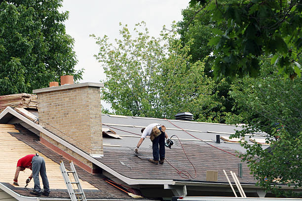 Best Metal Roofing Contractor  in Winchester, IL