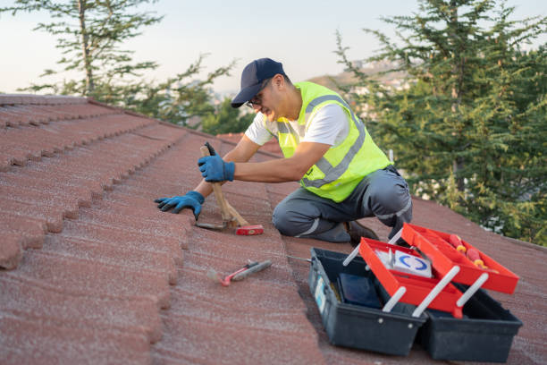 Best Roofing Contractor Near Me  in Winchester, IL